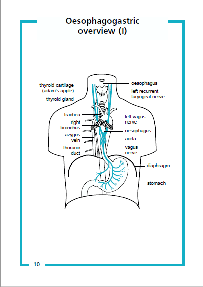 Guide to Upper GI Surgery