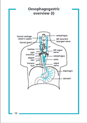 Guide to Upper GI Surgery